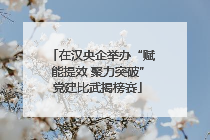 在汉央企举办“赋能提效 聚力突破”党建比武揭榜赛